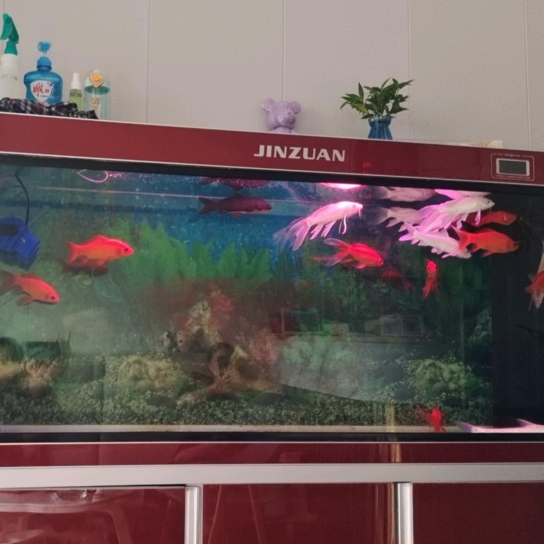 已注销
