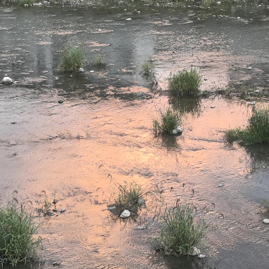 🥰呼呼哈哈🥳