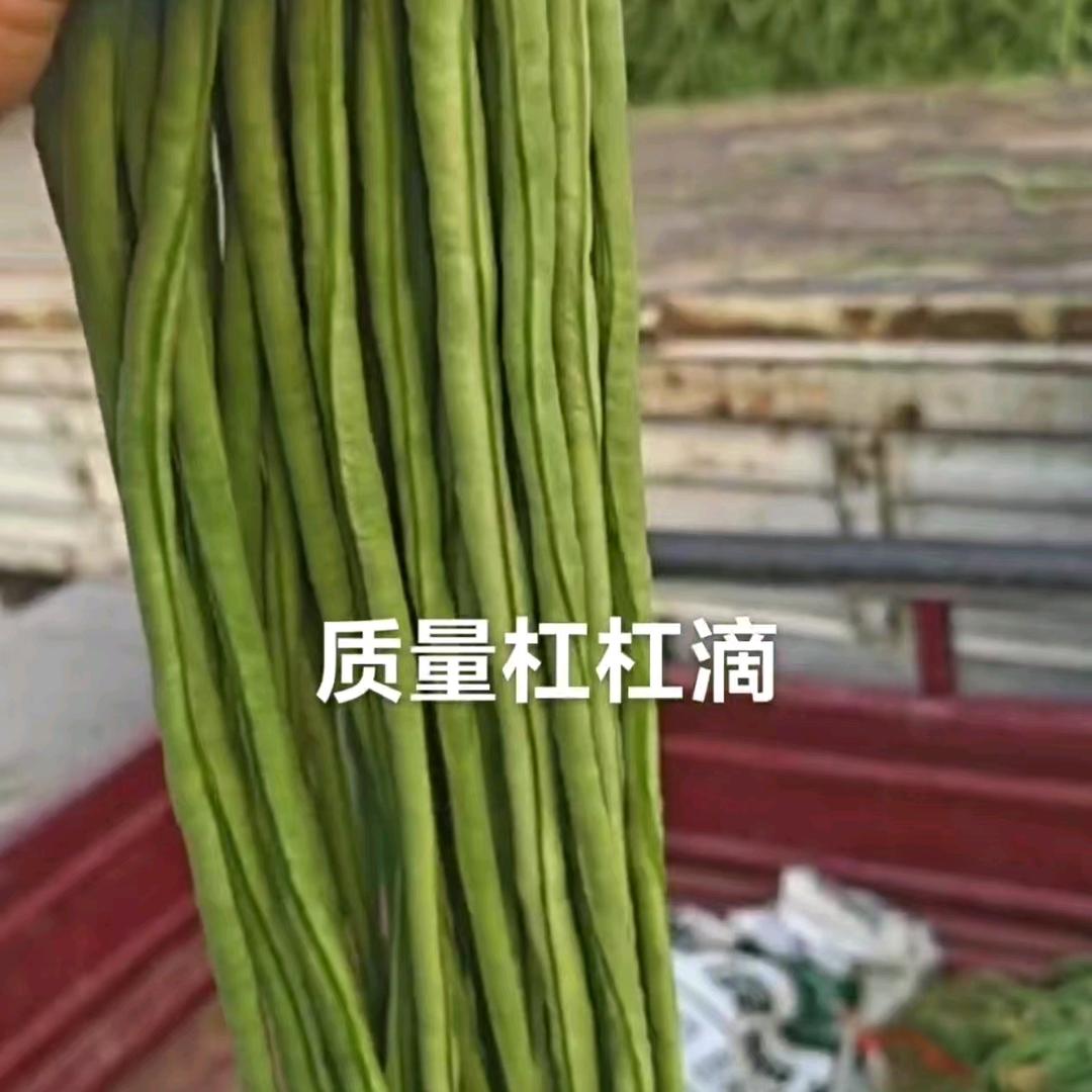 山东菏泽原产地蔬菜瓜果代购代发