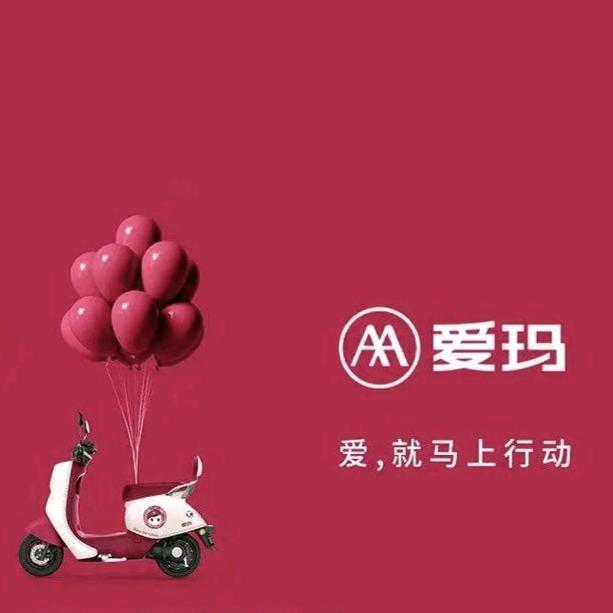 大昌车城爱玛店（梭罗树店）