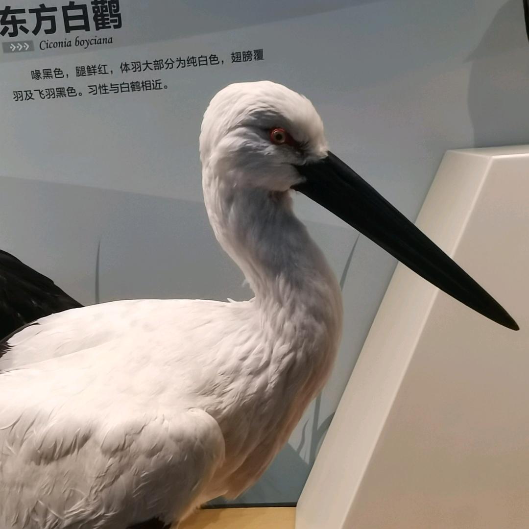 祥瑞农场