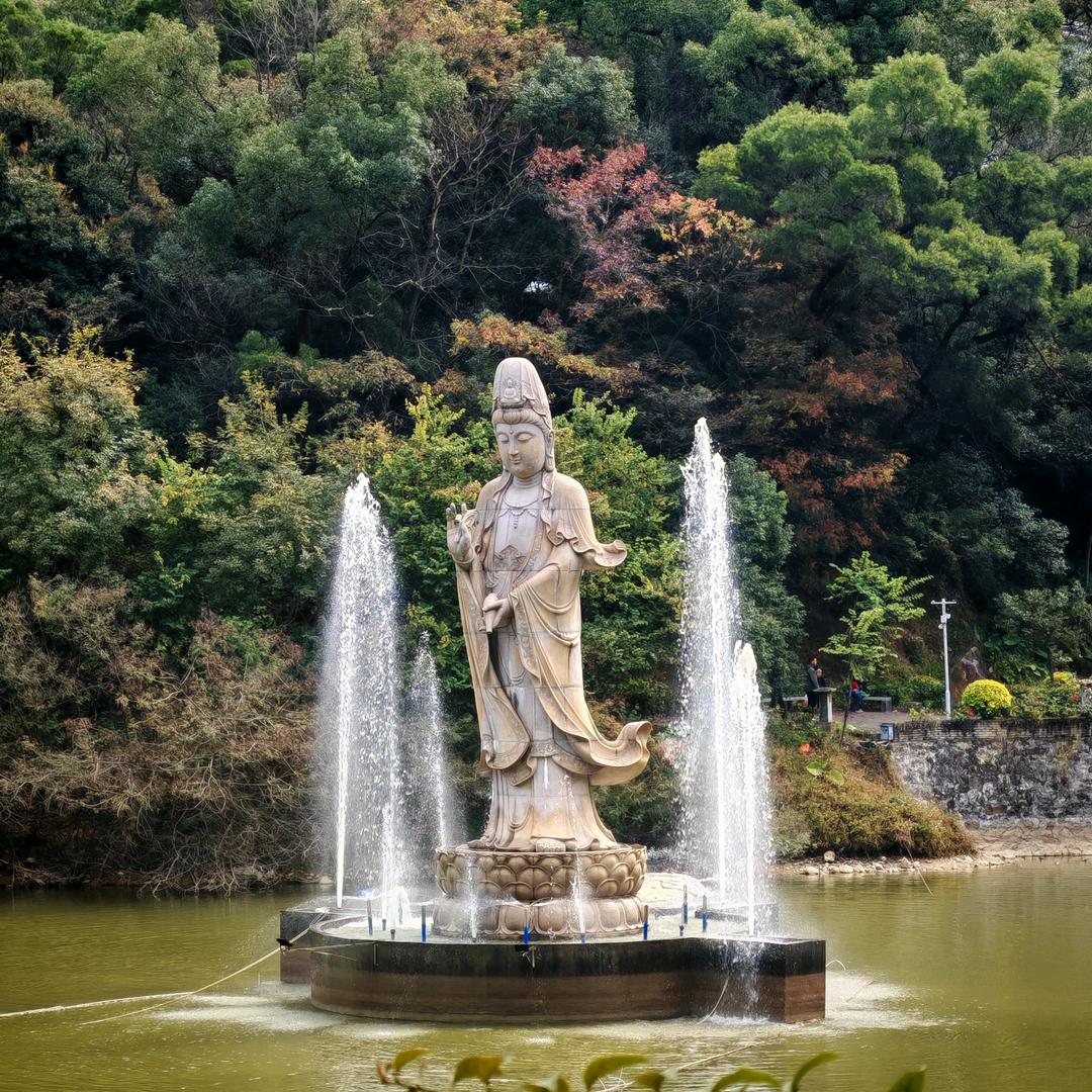 纳溪烫染超市收长头发