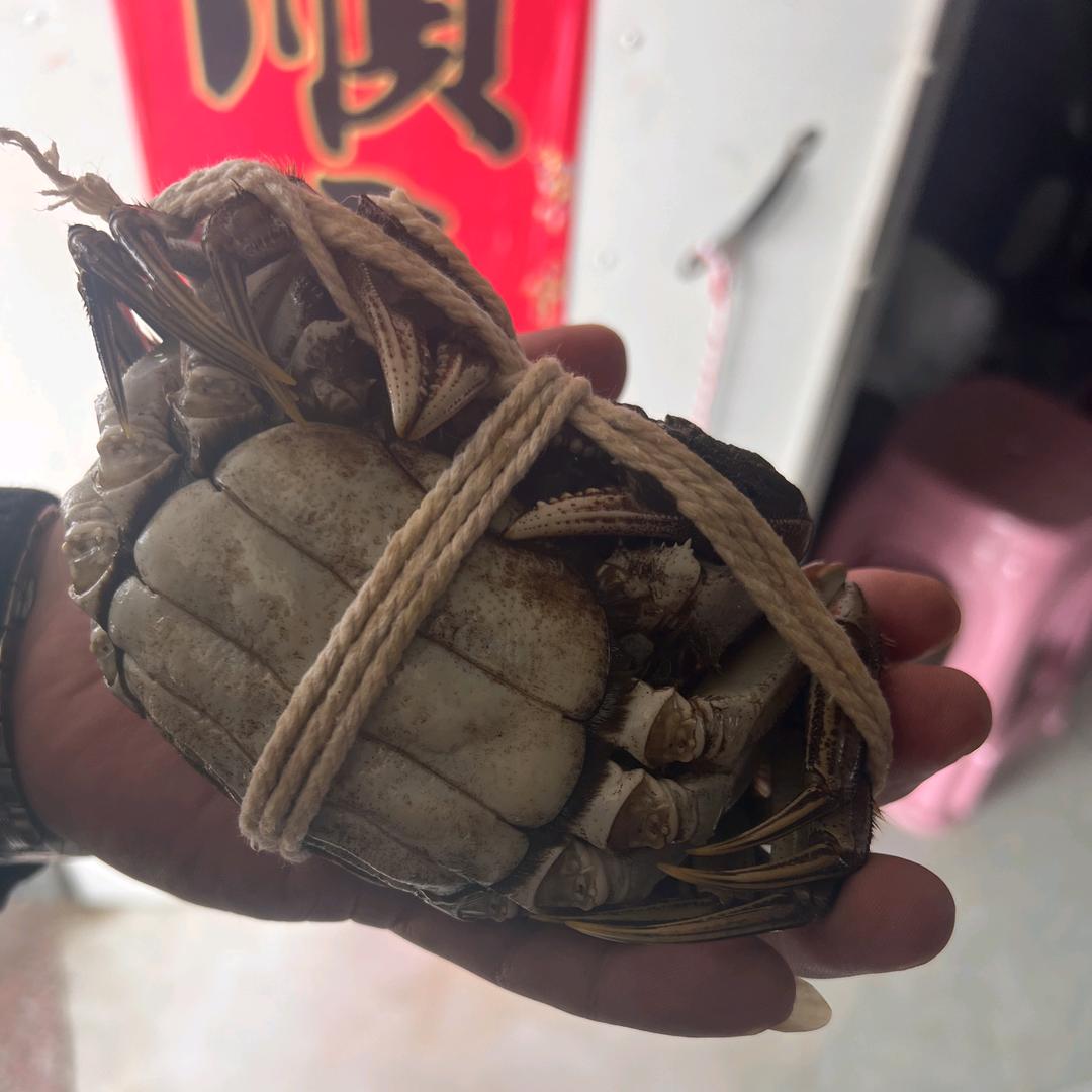 长荡湖大闸蟹（蟹农自销）2