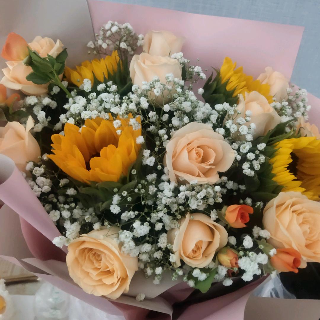 月芽儿