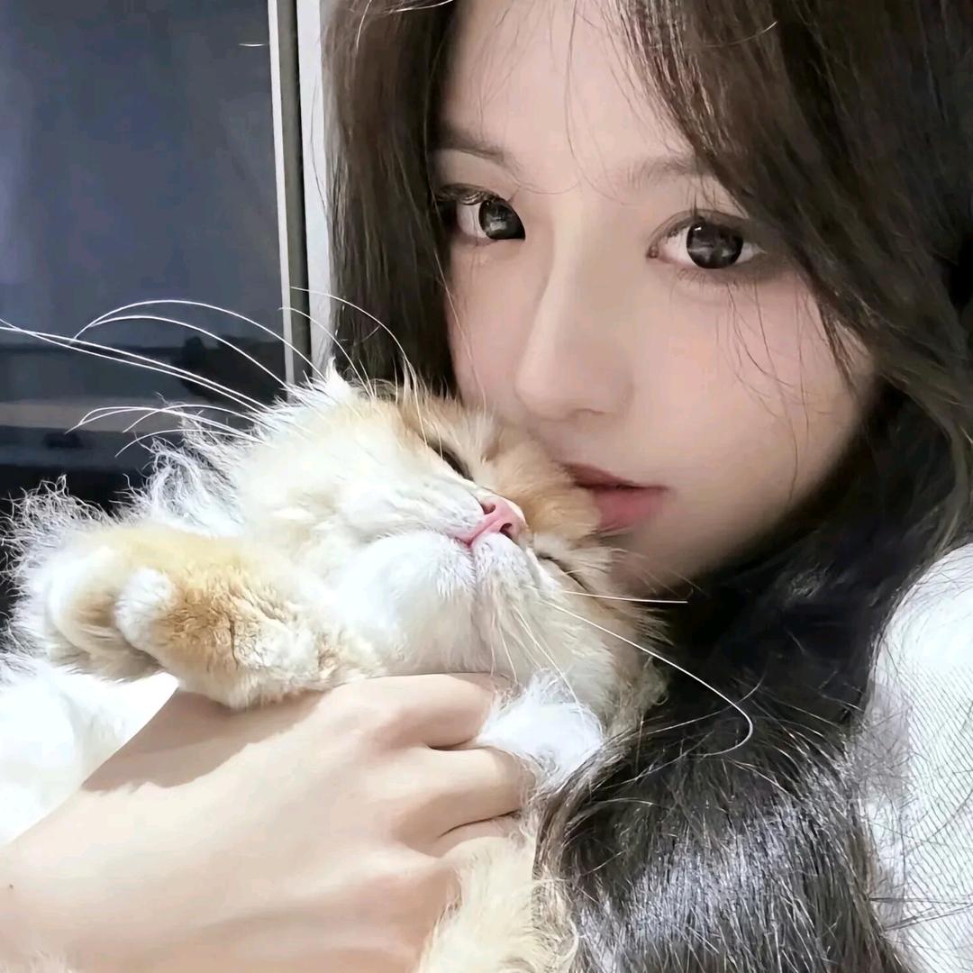 好乐好物