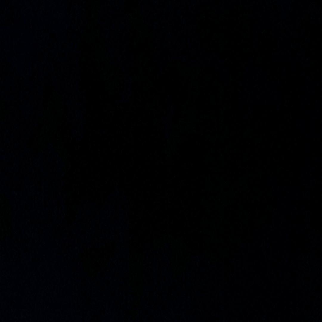 哈基蜂