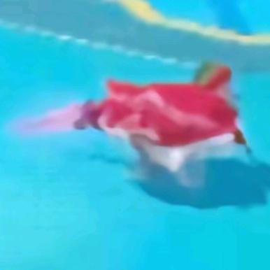 苹果香
