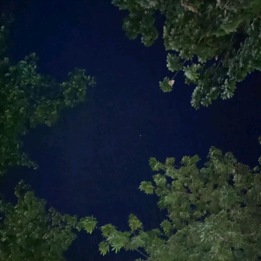 海外散修厉飞雨