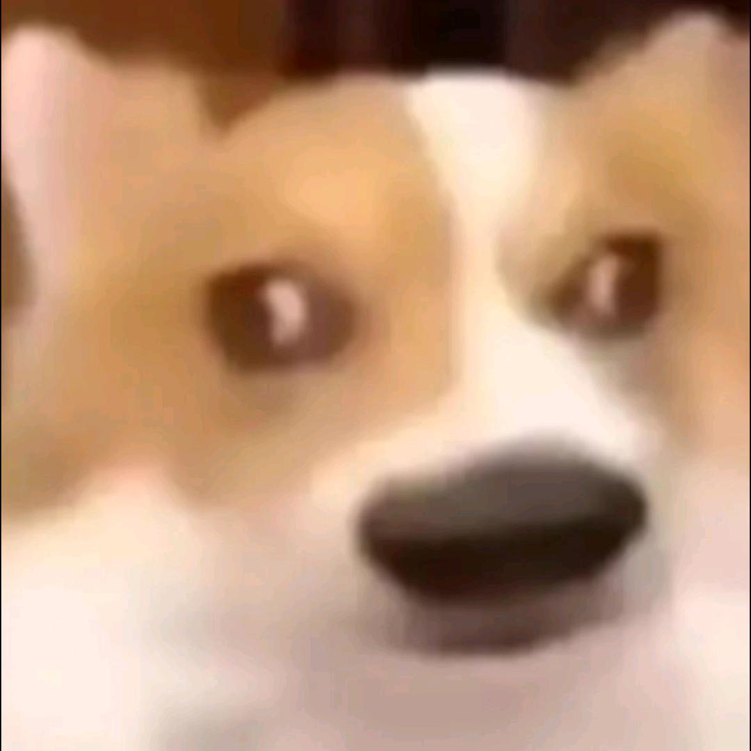 我是一块碳