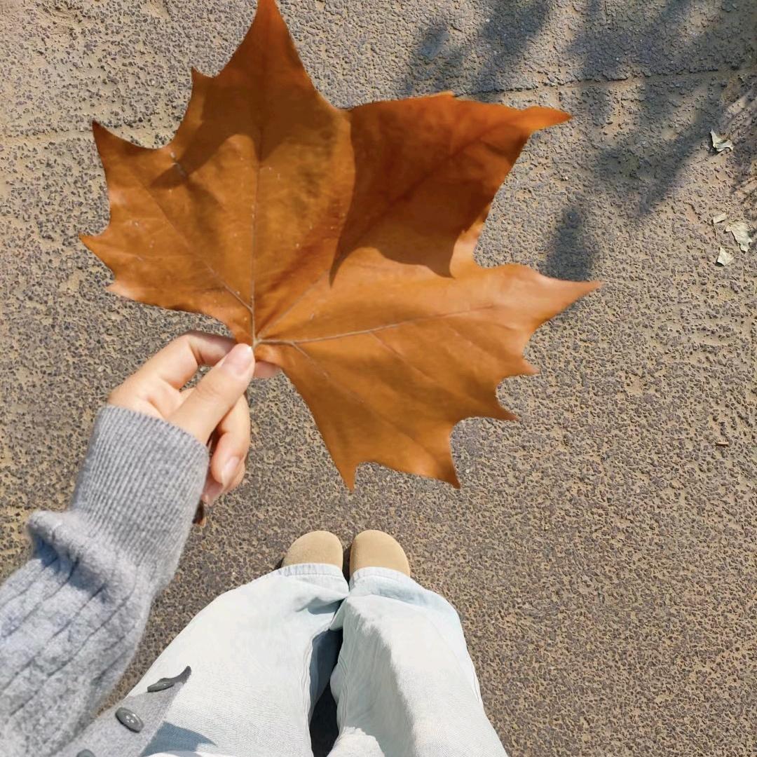 莘渝好物