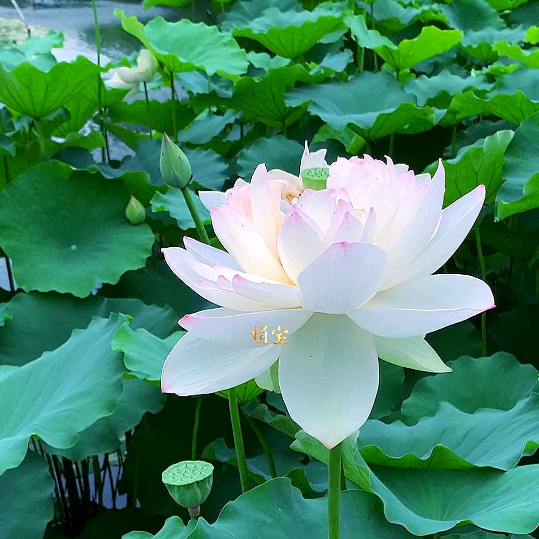 无愧于心