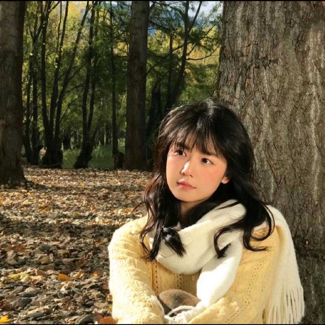 晴天熊