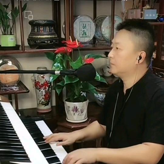 音乐与茶🎹🌿