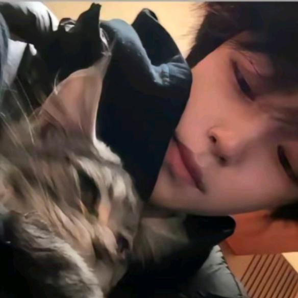 巧克力味的抹茶