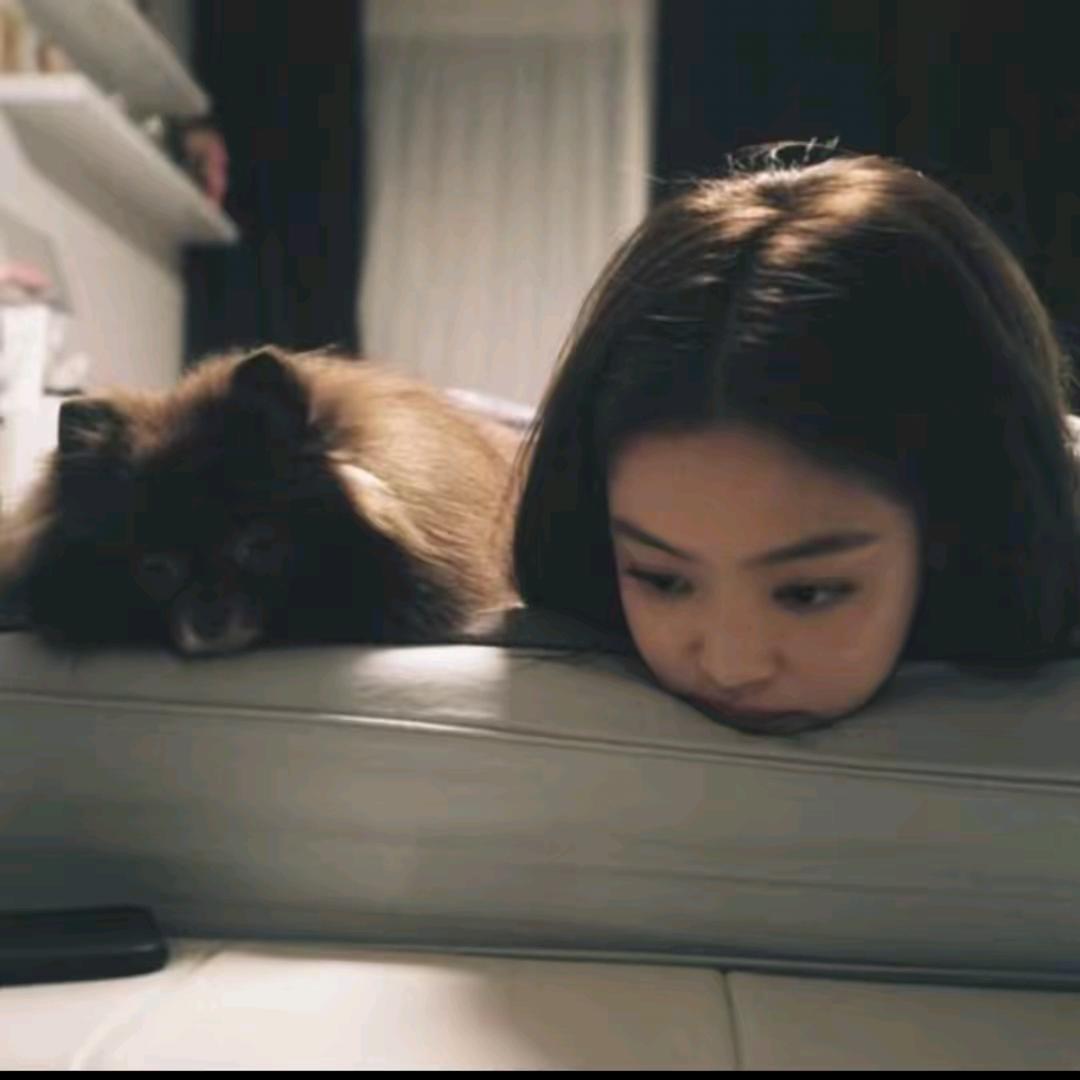 _爱吃西红柿