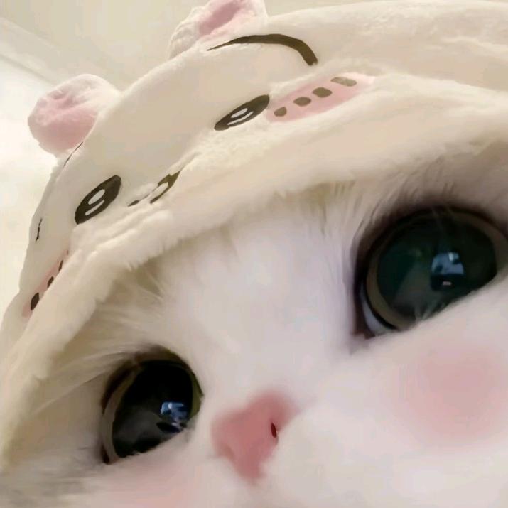 柠檬不萌