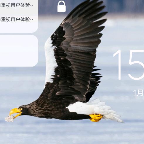 游戏老北鼻