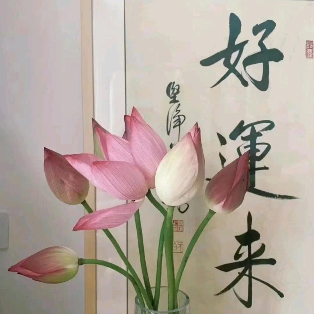 我桃巨可爱💗