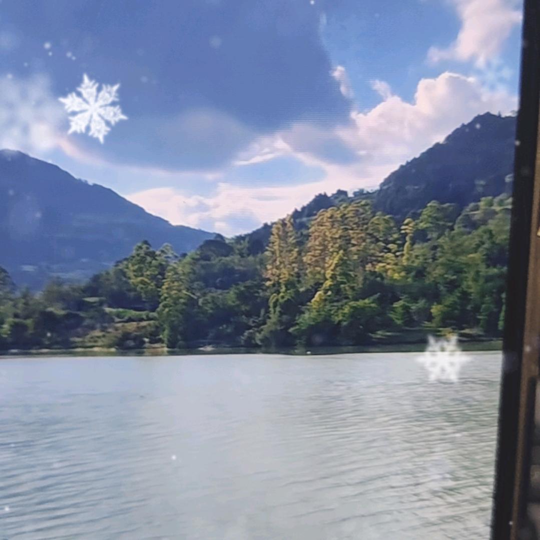 高处不胜寒
