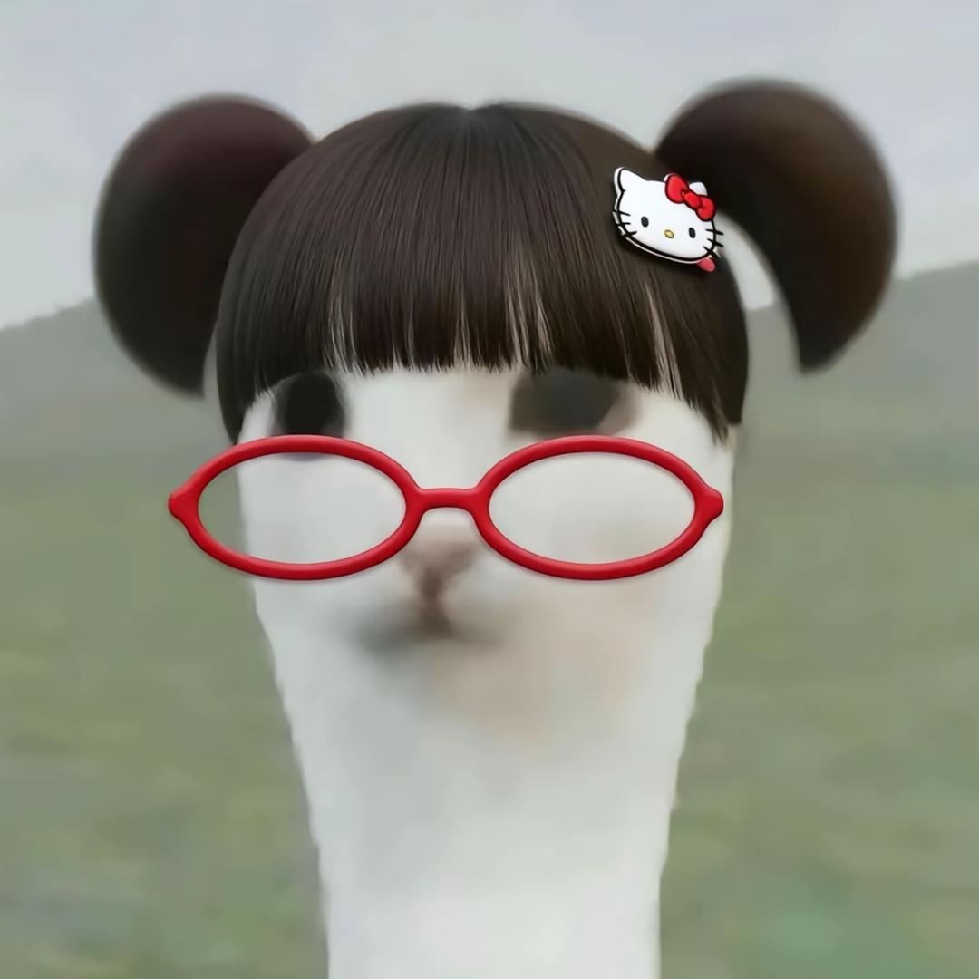 Vv¿