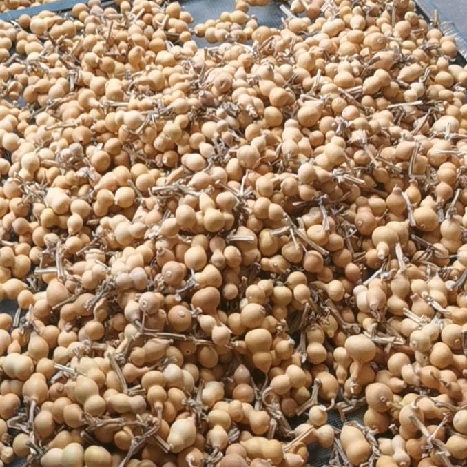 葫芦 葫芦  葫芦