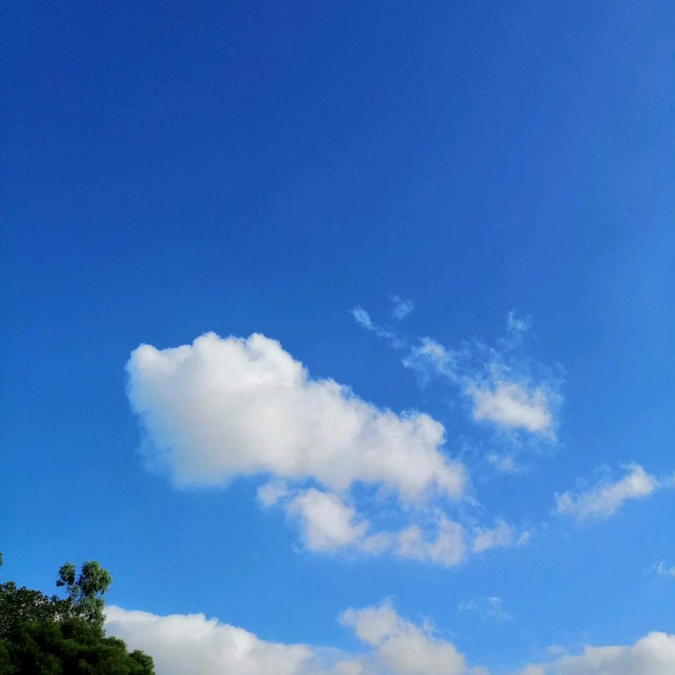 余生随心