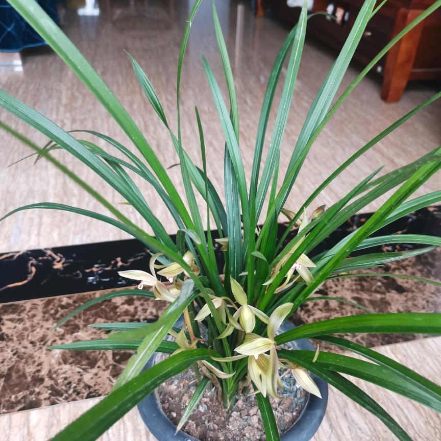 风里雨里，我在等你