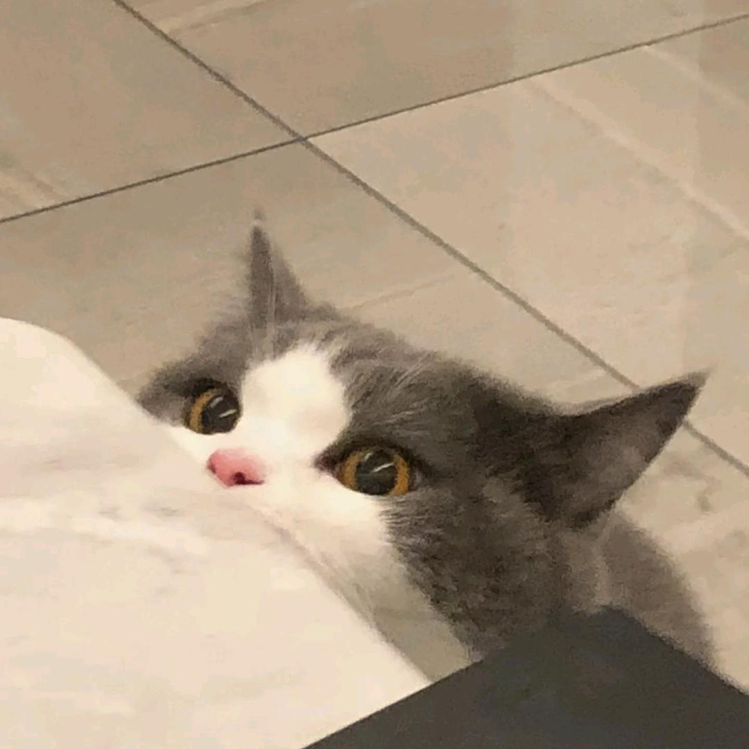 纳斯达克永创新高