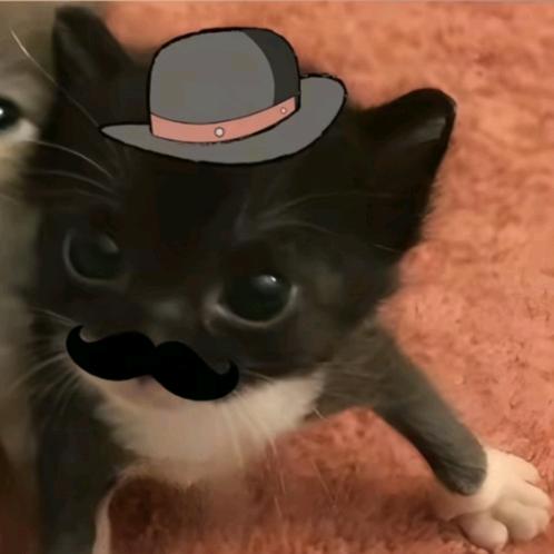 忧郁绝世大帅哥🏸