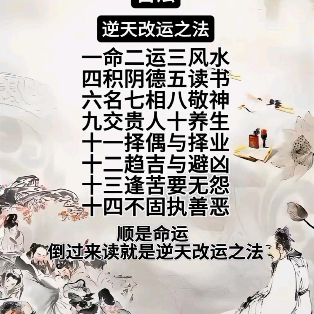 国学马战飞