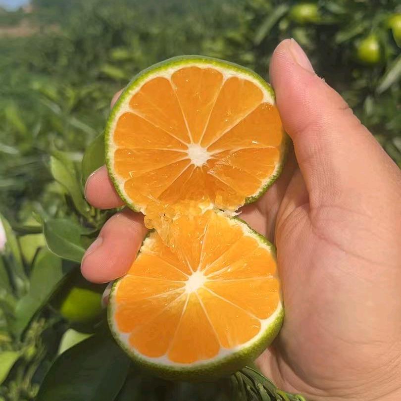 四亨果业：张果果