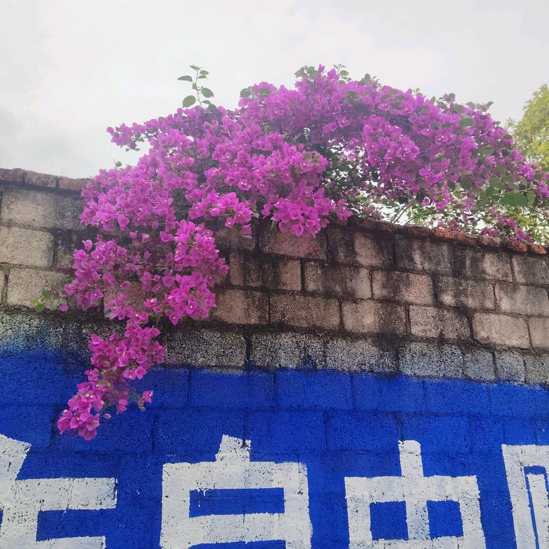 宽容