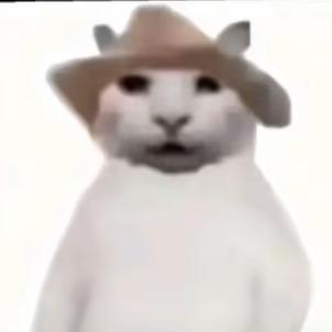 狗驾驶着卫生间