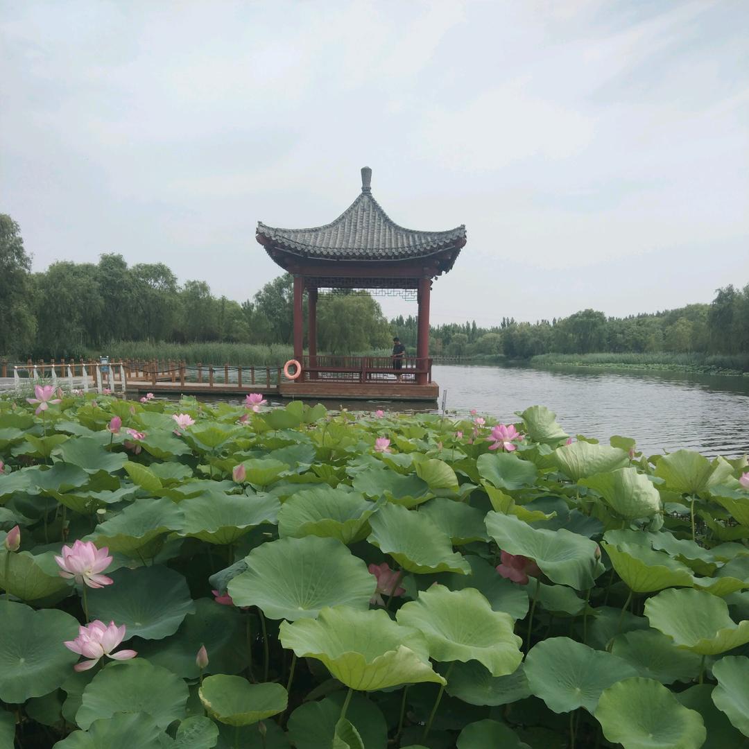福牛牛