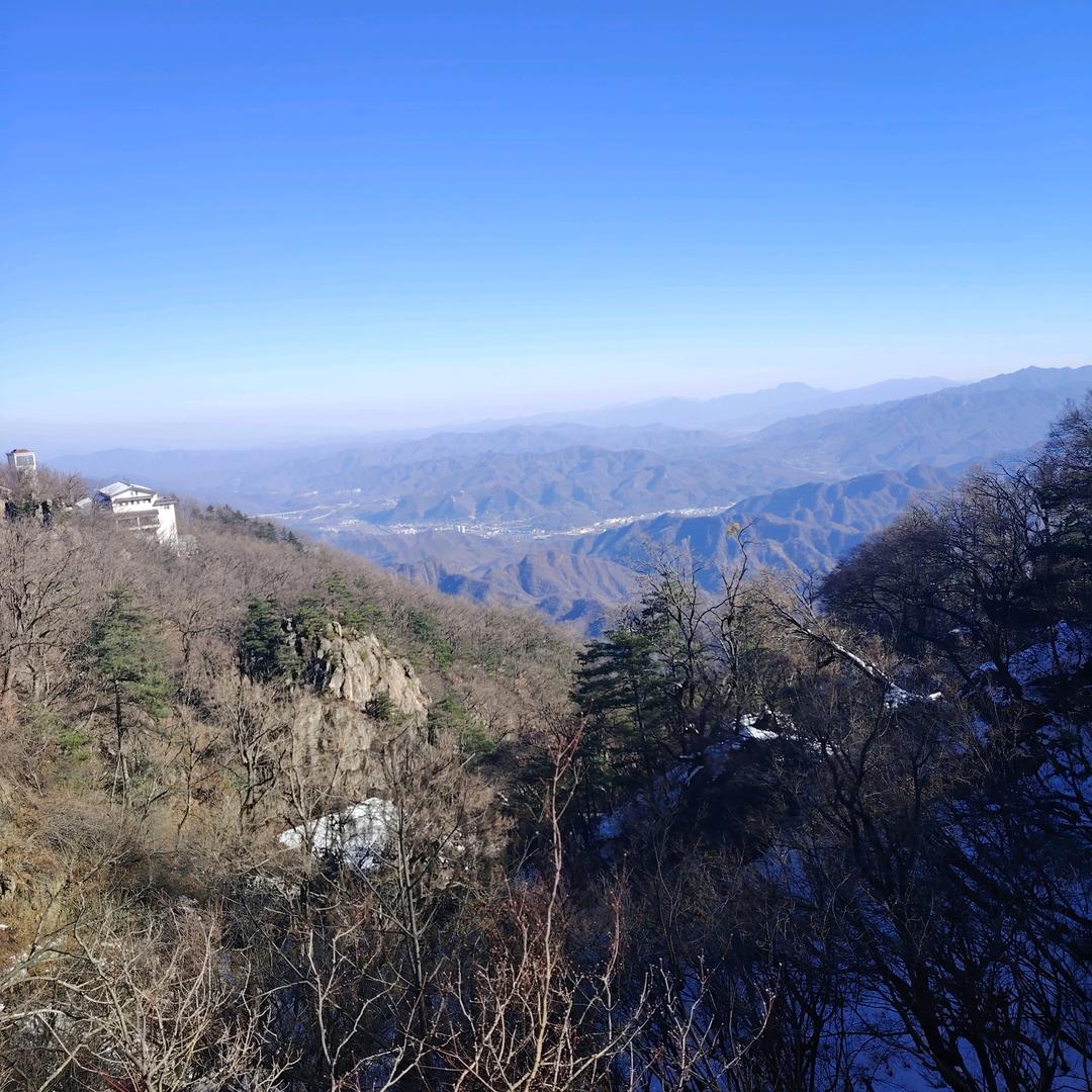 小李