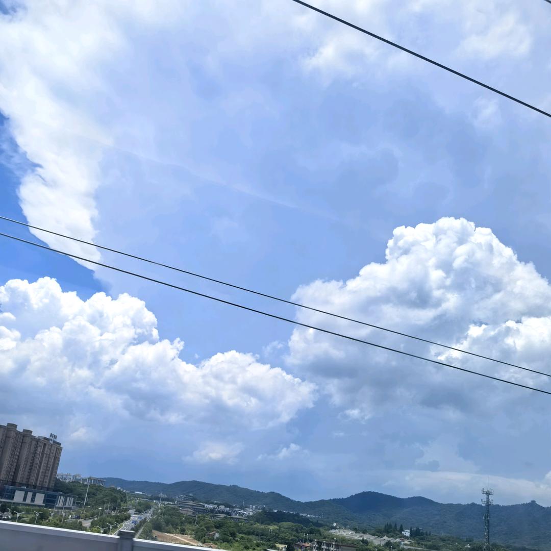 珊珊公主崛起🌸