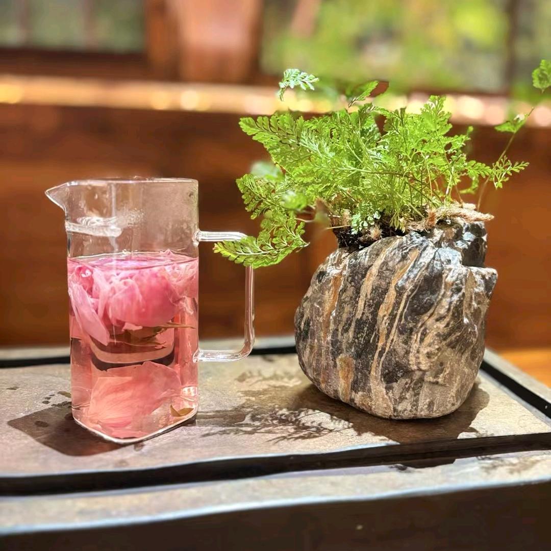 🌈醉菩提