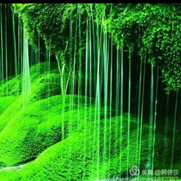 静心，静以修身