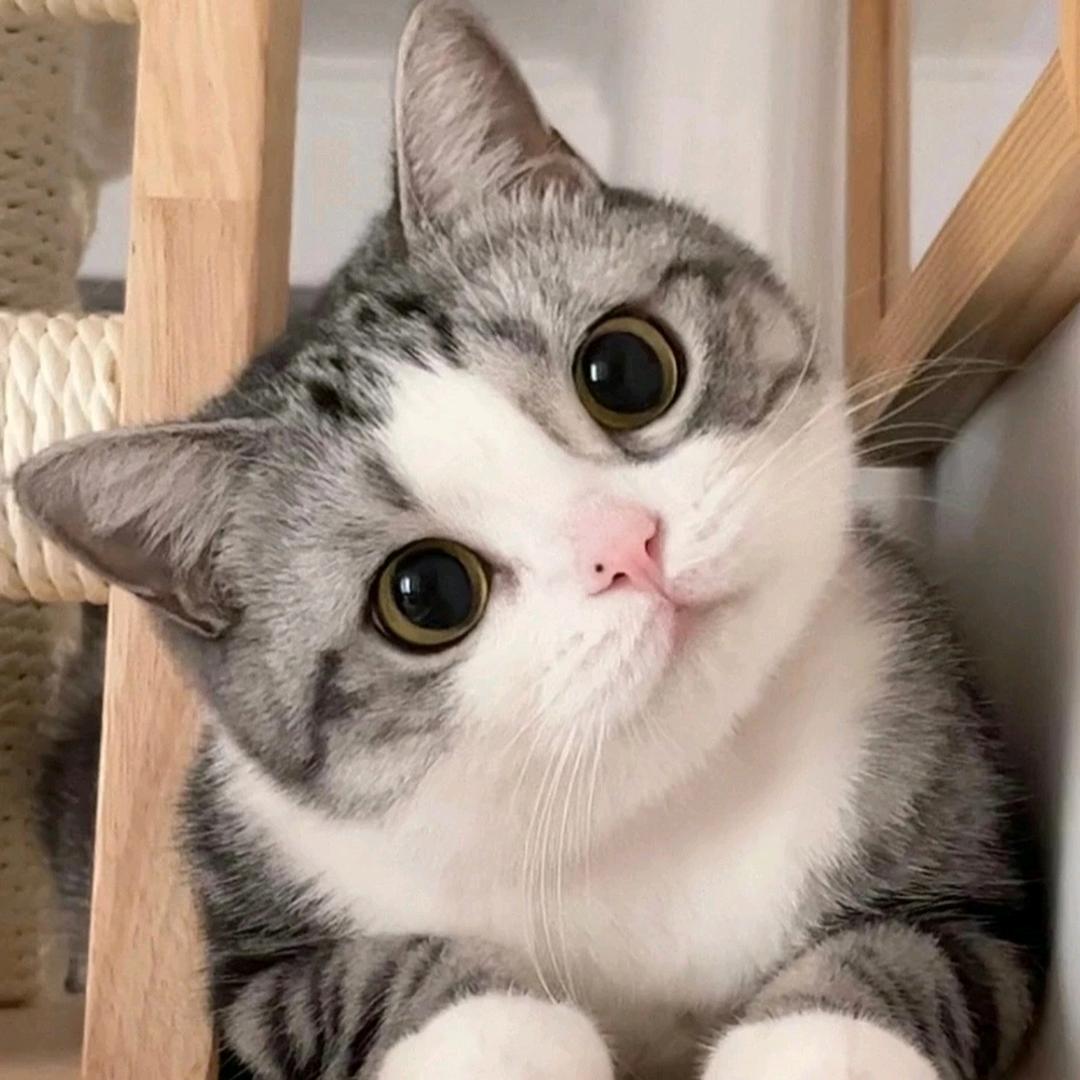 女人一生的执念是什么？