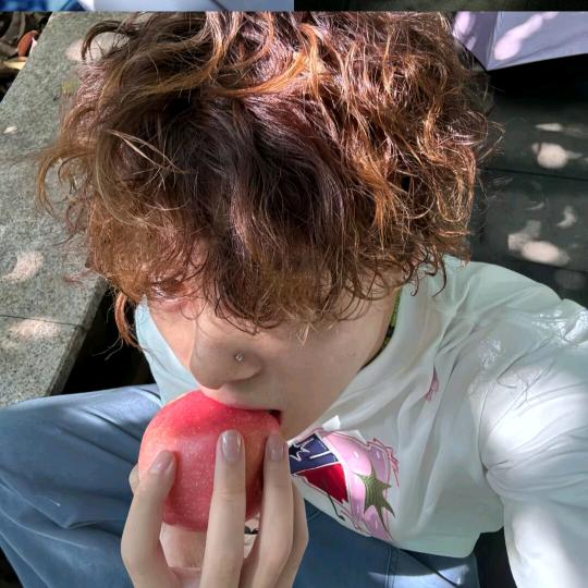 坚定的理想主义者