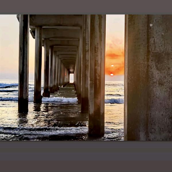 白东科技-运营andy