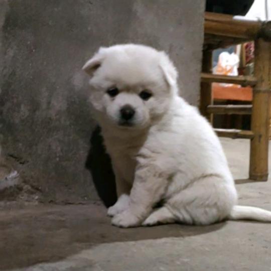 ⌯>ᴗo⌯ .ᐟ.ᐟ