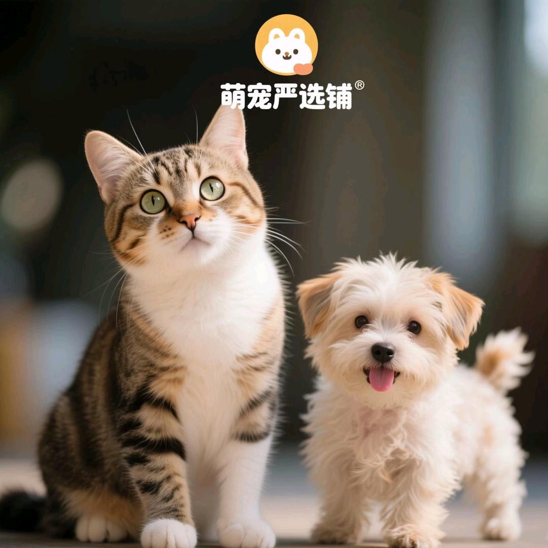 萌宠严选铺