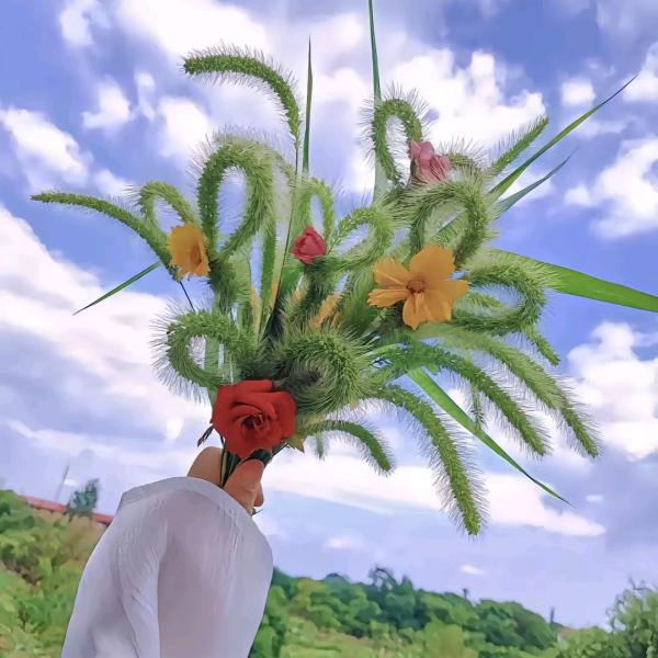 酸菜鱼啊