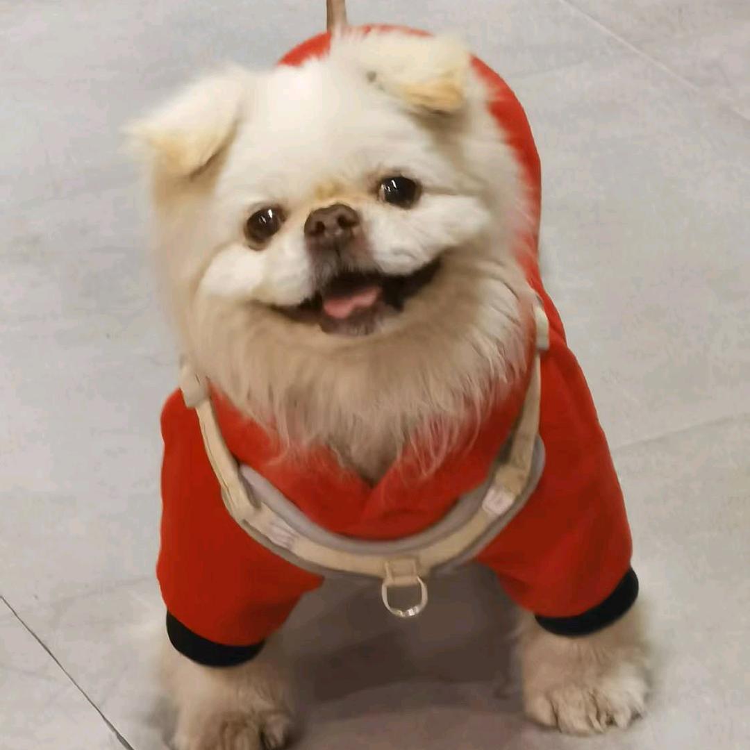 陈记高兴一锅