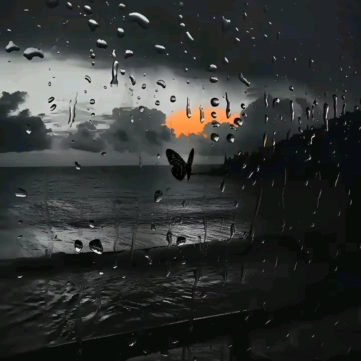 野肆.✌︎