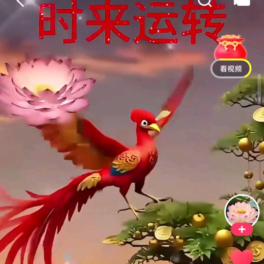 丁开运
