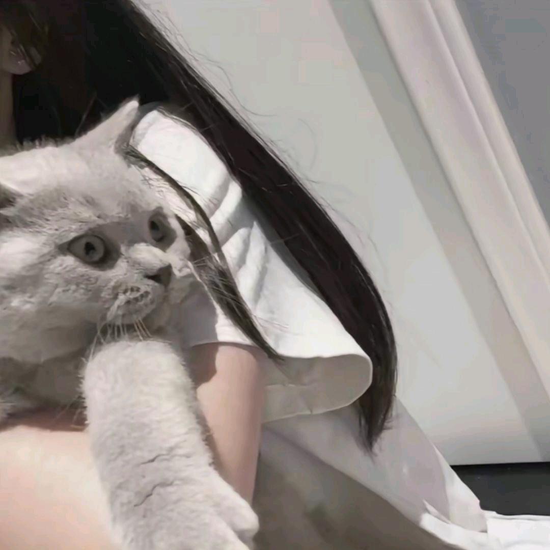 爱总觉亏欠
