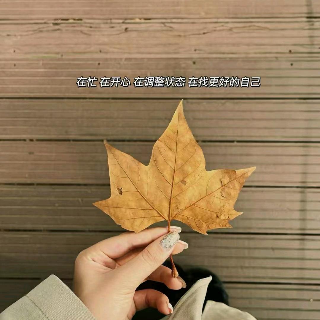 维维豆奶