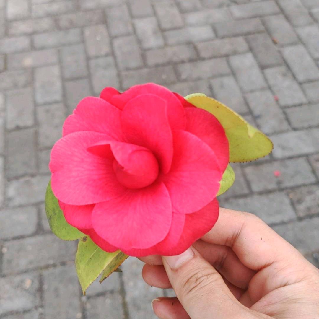 用户已注销